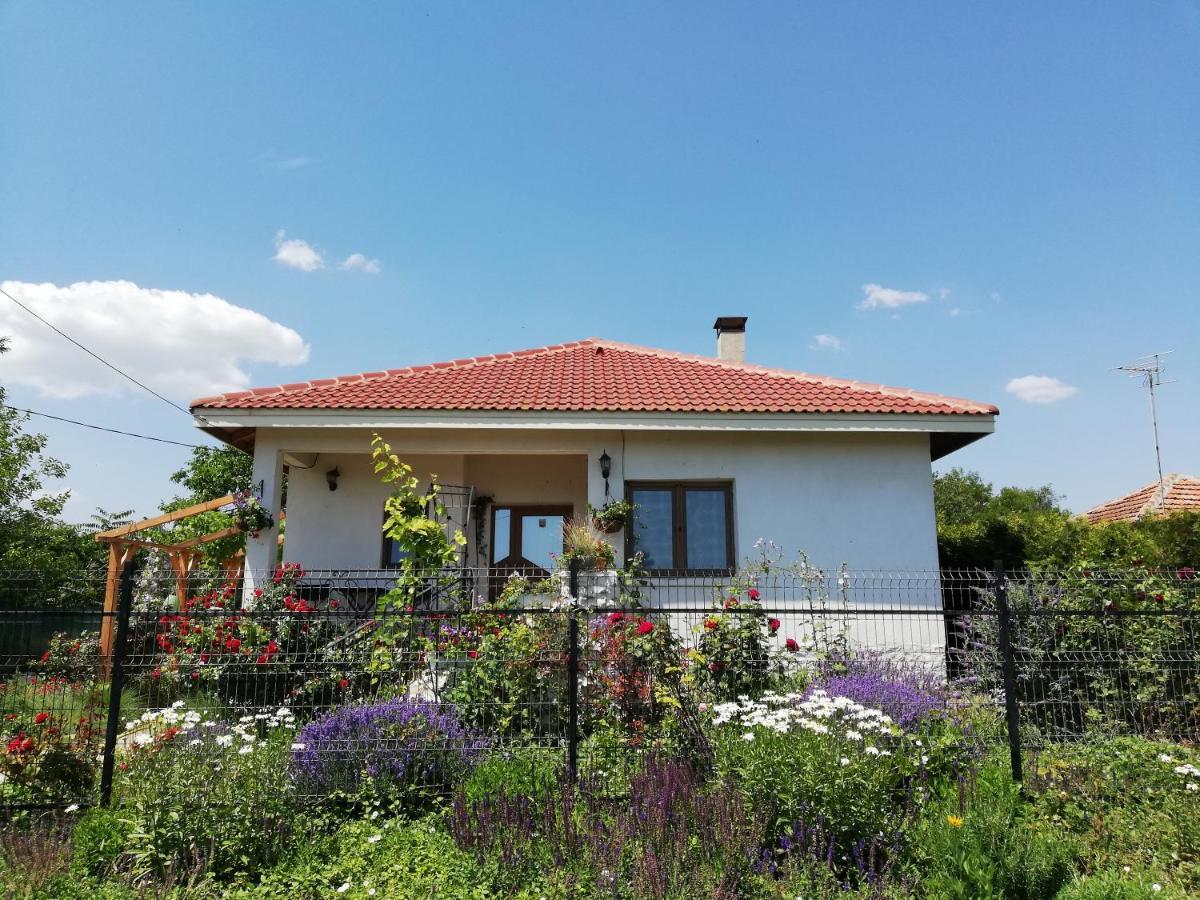 فندق House Albena دورانكولاك المظهر الخارجي الصورة